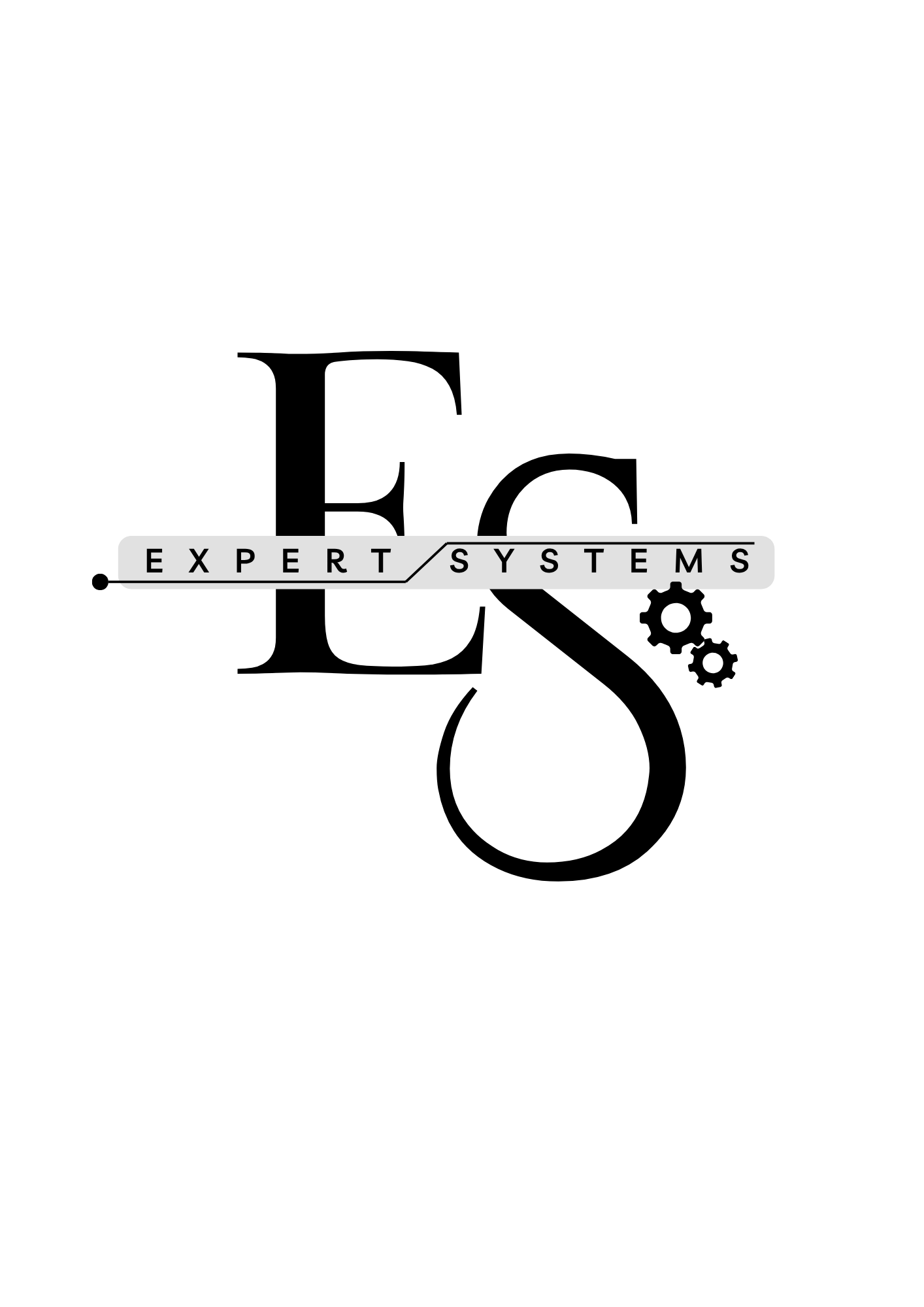 EXPERT SYSTEMS
